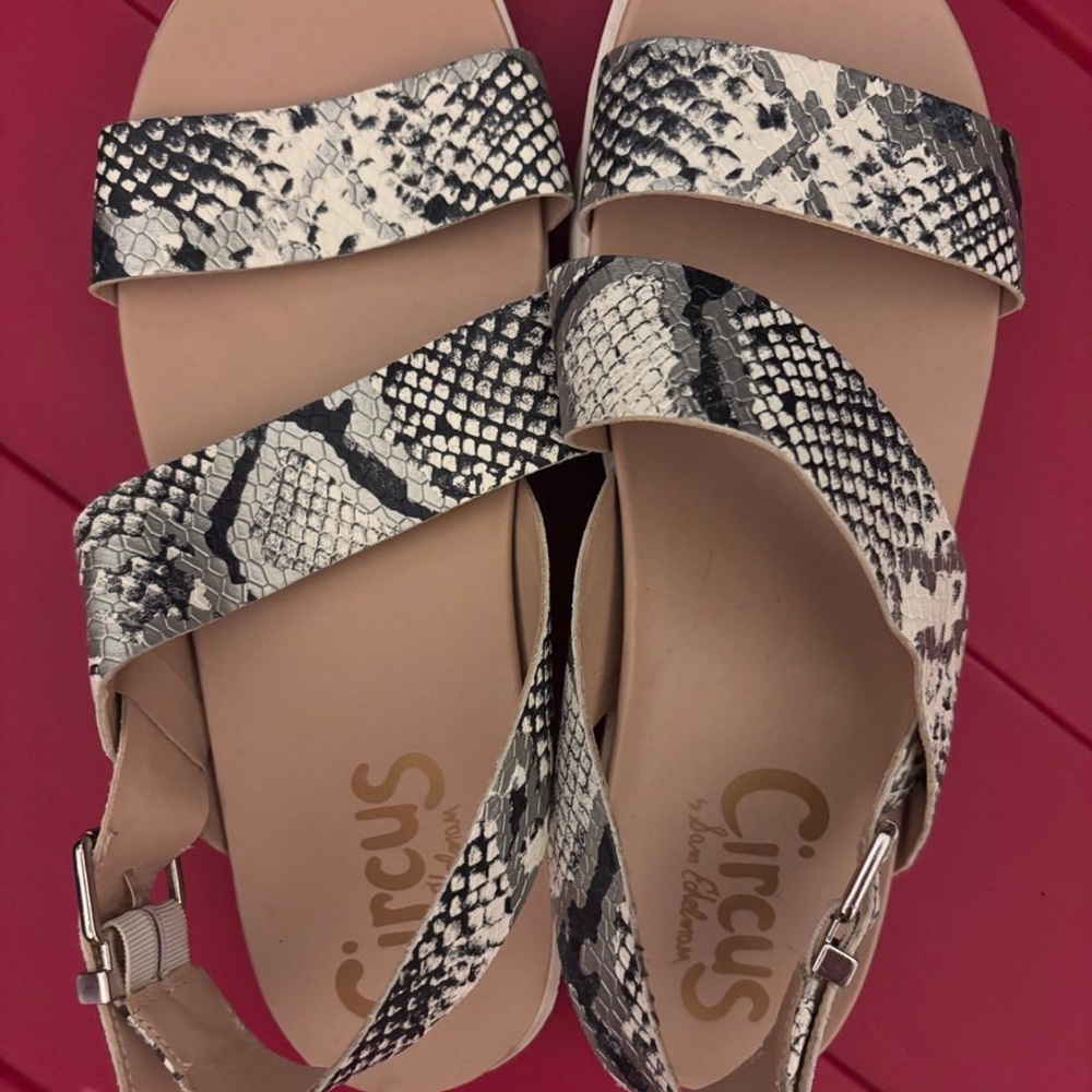 Circus by Sam Edelman Black and White Snake Sandals